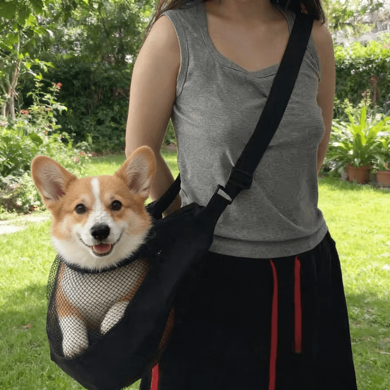 Travel Accessories For Dogs - Bolsa de Transporte para Perros de