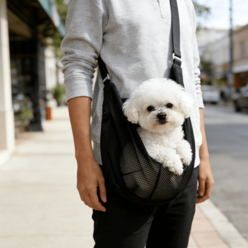 Bolsa de Transporte para Perro - Travel Accessories For Dogs reseña y precio