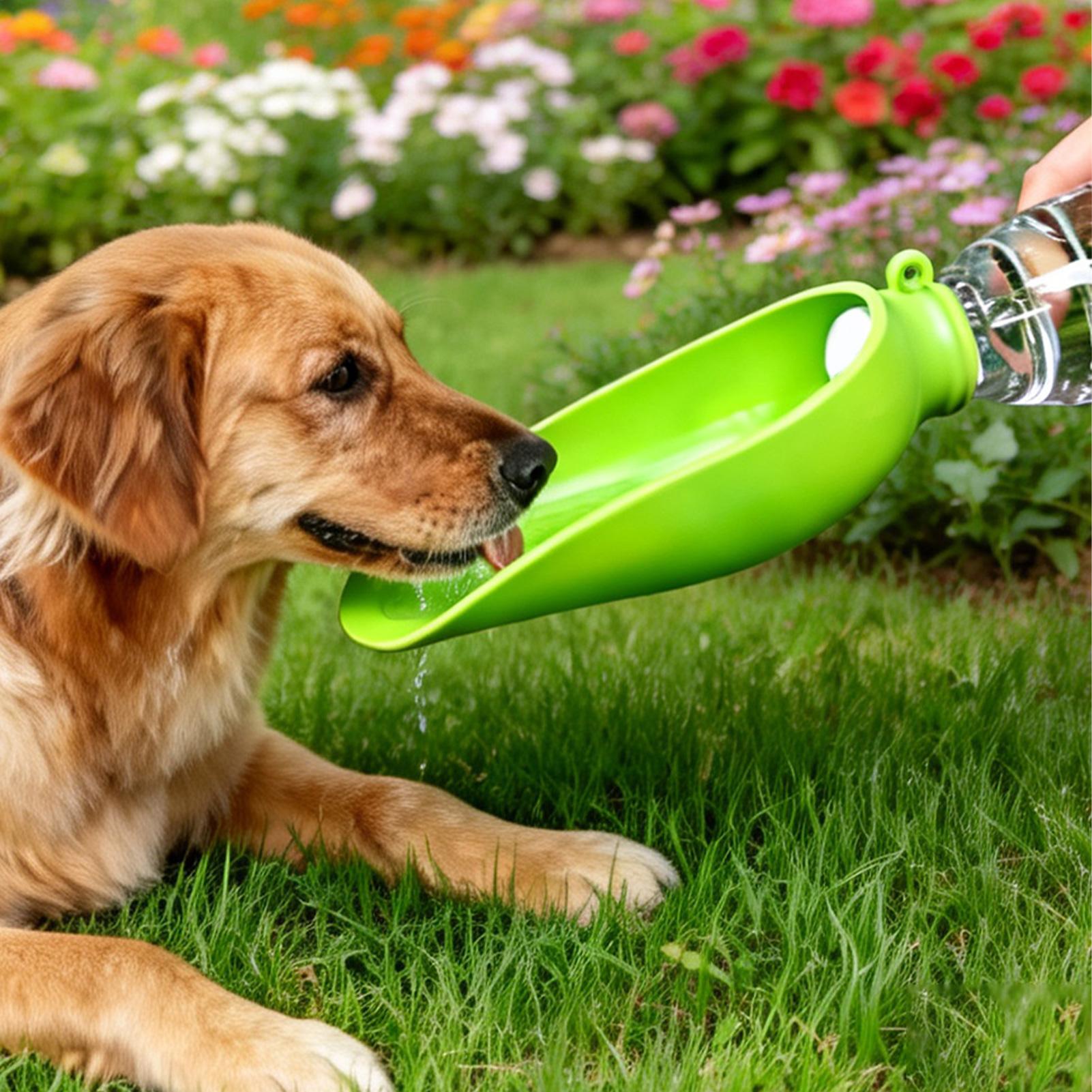 Tazón de Agua Plegable de Sili - Travel Accessories For Dogs reseña y precio